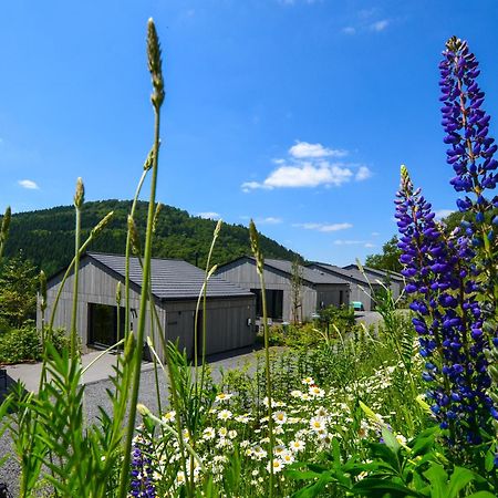 Sauerland Lodge - Haus Juliana ヴィンターベルク エクステリア 写真