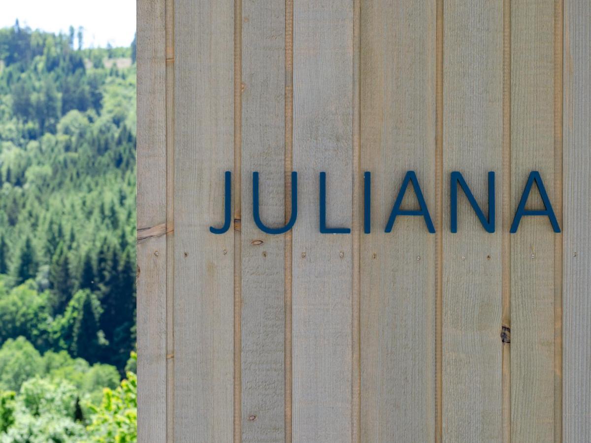 Sauerland Lodge - Haus Juliana ヴィンターベルク エクステリア 写真