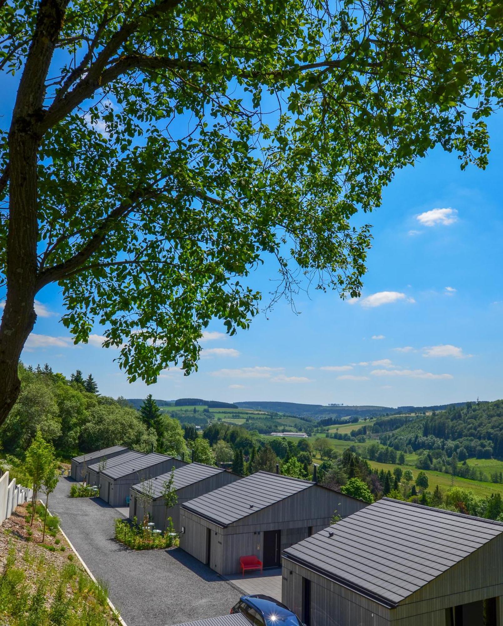 Sauerland Lodge - Haus Juliana ヴィンターベルク エクステリア 写真